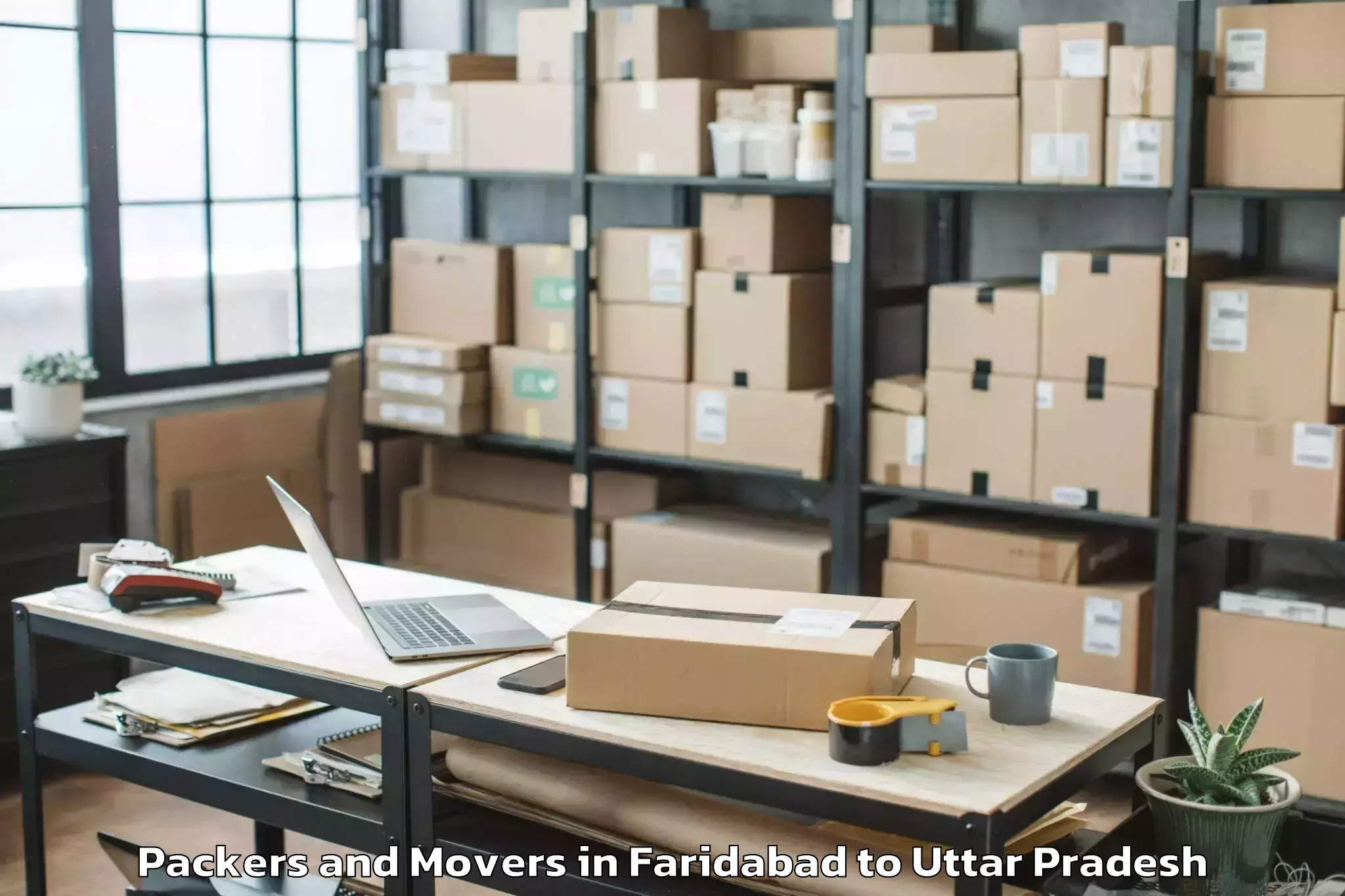 Professional Faridabad to Gopamau Packers And Movers